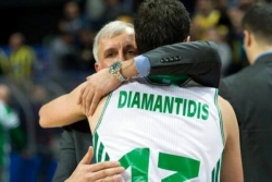 Obradović ponovo među "zelenima"