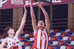 ANGT: Pavićević zablistao, Zvezda pobedila