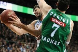 Mirotić je kralj!