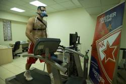 Zvezda počela pripreme za novu sezonu