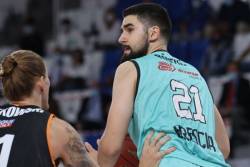 Dobri Ristić, Anđušić, Teodosić...