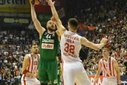 Zelena &scaron;uma pregusta za Zvezdu
