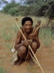 bushman's Avatar
